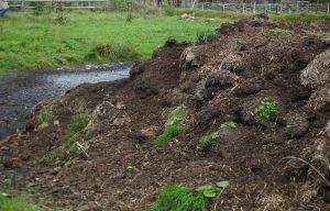 Dung Heap is smelly and dirty